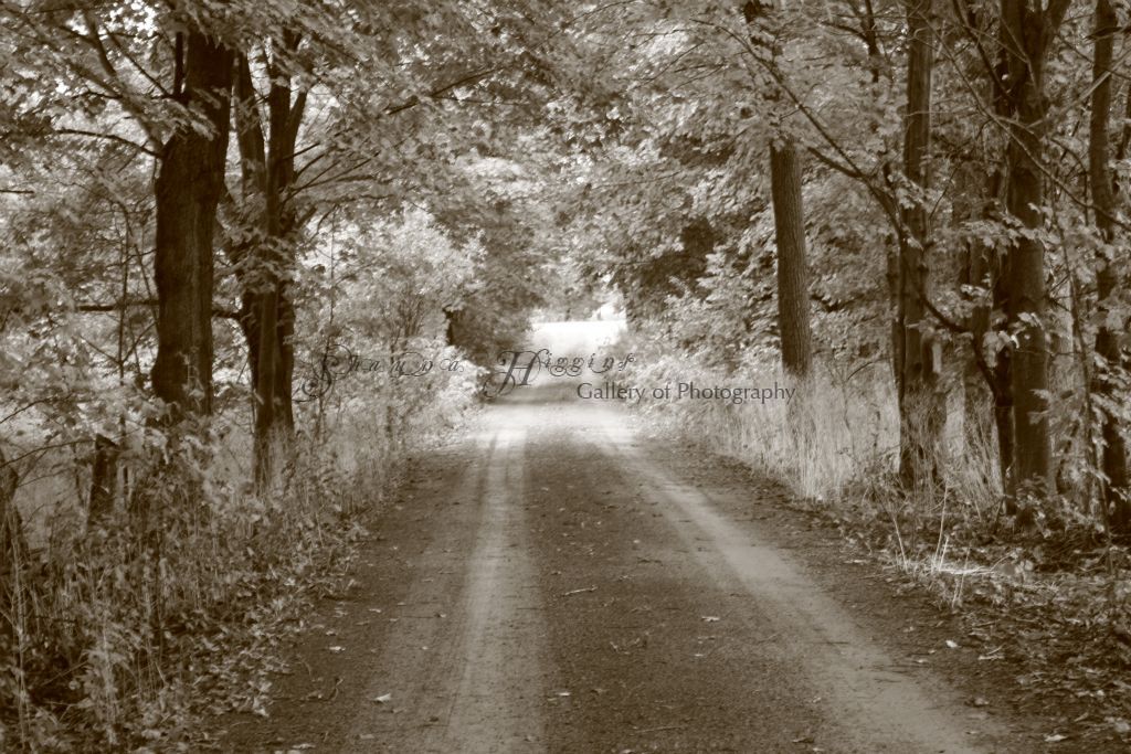 Ontario - Toronto, Ottawa, and Cherry Valley